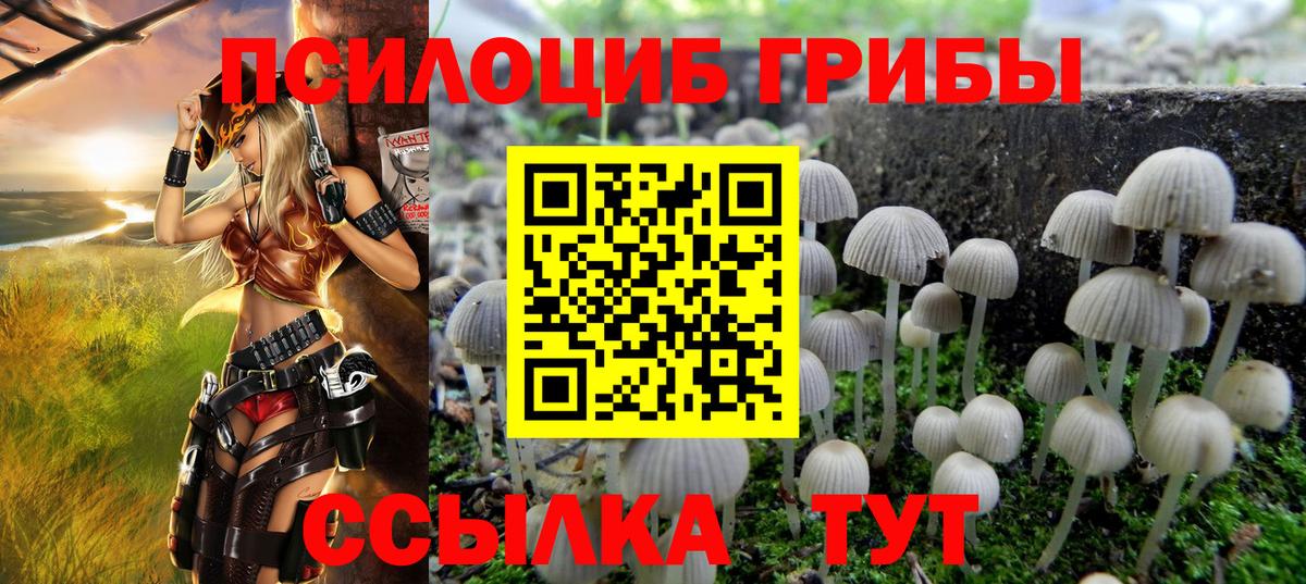 как найти закладки  Галлюциногенные грибы Cubensis  Вход с VPN  Советская Гавань 