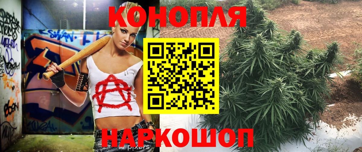 Бошки марихуана сатива  Бошки марихуана тримм  Вход с VPN  Марихуана индика  Советская Гавань 